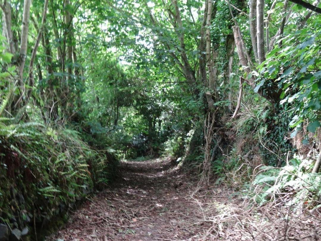 Badger Cottage Mawgan 외부 사진